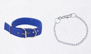 <span class=keywords><strong>Collar</strong></span> de Metal fuerte para perro, cadena con asa de nailon, correa para perro - Product Image 4