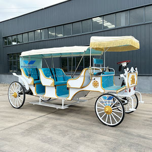 Carruaje de caballos eléctrico para boda, uso turístico, precio bajo, alta calidad, Color personalizado, Batería de 60V 80A - Product Image 3