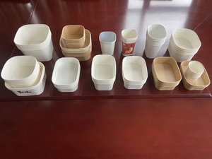 Machine automatique de formation de bols en papier ovales à grande vitesse 75 pièces/min, roulement à billes moteur, conteneur alimentaire jetable pour salade, crème glacée, soupe - Product Image 6