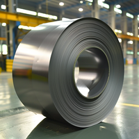 Harga Coil Plat Timah dari Cina untuk Wadah dan Kaleng Plat Timah dengan Layanan Pengelasan, Grade SPHC Ketebalan 0.15-0.5mm