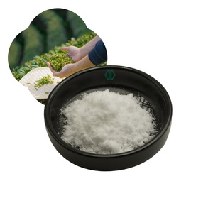 Пищевой L-теанин в порошке, экстракт зеленого чая, оптом, 40%-98% натуральный L-теанин для добавок - Product Image 1