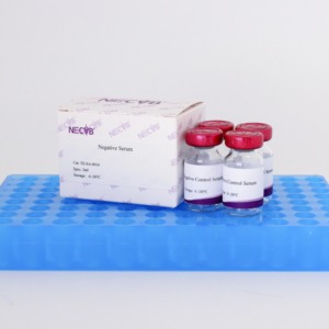Soro de Controle Negativo de Alta Qualidade para ELISA/<span class=keywords><strong>IHC</strong></span> - Animal-Free, Estéril, Bulk Orders Available - Product Image 4
