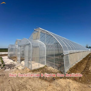<span class=keywords><strong>Serre</strong></span> commerciale à grande portée en film plastique avec structure en acier galvanisé stabilisé aux UV pour la culture de légumes et de fleurs - Product Image 2
