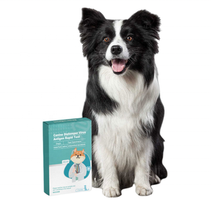USMILEPET, venta al por mayor de plástico, virus de moquillo canino, prueba rápida de antígeno de diagnóstico in <span class=keywords><strong>vitro</strong></span>, prueba de antígeno para CDV - Product Image 1