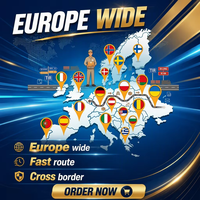 Agent de transport routier express international pour entrepôt gratuit, transport de la Chine vers l'Europe pour les marchandises d'Amazon