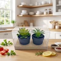 Boîte d'emballage en plastique PET transparente personnalisée, boîte cadeau pliable transparente