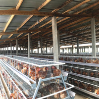 Уровневых клеток h-типа куринный слой клетка для продажи