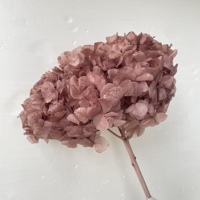 Bunga Hydrangea Daun Besar Hijau Awet, Produk Terlaris, Bunga Hydrangea Awet untuk Dekorasi Pernikahan