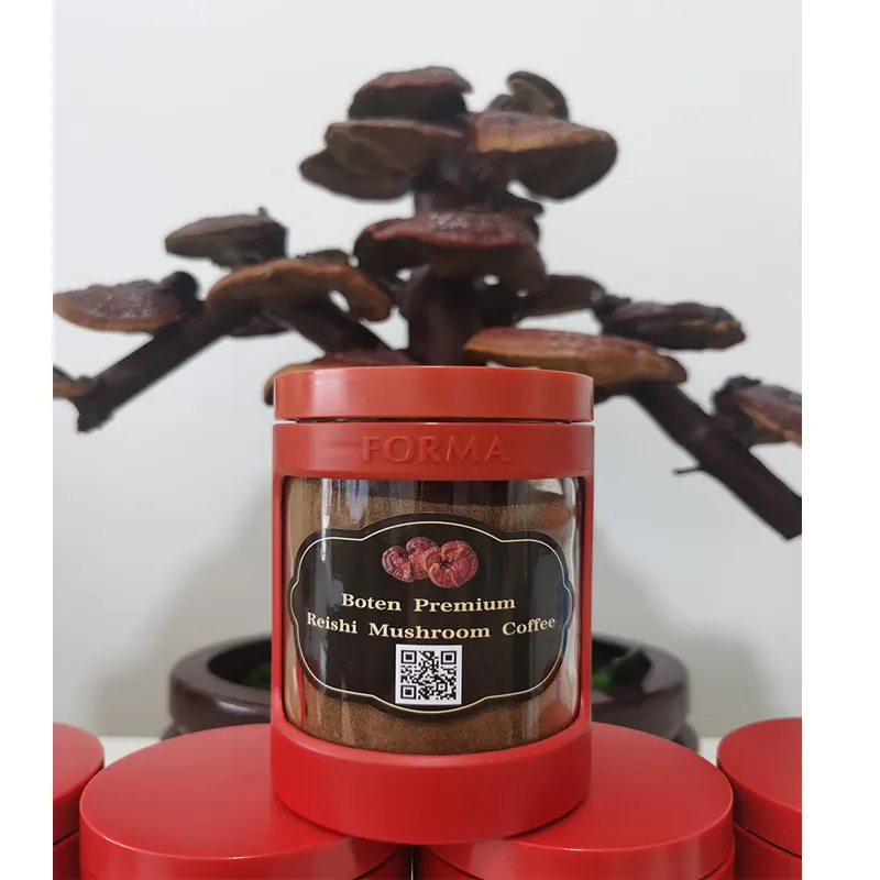 Estratto del fungo di Reishi dell'estratto di ganoderma del caffè nero di lingzi su misura organico puro di 100% per caffè nero
