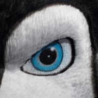 Costume de mascotte loup réaliste à fourrure personnalisé de haute qualité Costume de mascotte de personnage de dessin animé pour la fête