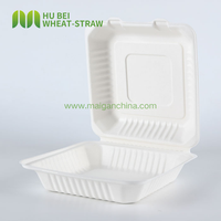 Boîte alimentaire carrée à emporter 9x9 pouces en bagasse de canne à sucre, sans PFAS, jetable et compostable