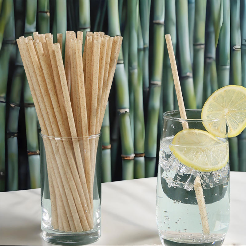 Custom Disposable Sugarcane Bagasse Straws Biodegradable