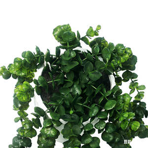 Plante artificielle d'<span class=keywords><strong>eucalyptus</strong></span> hautement réaliste en <span class=keywords><strong>pot</strong></span> en céramique pour la décoration intérieure et extérieure de la maison, des mariages, de Noël et des hôtels - Product Image 5