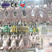 Machine à plumer pour volailles (poulets, cailles) de 300 à 15 000 oiseaux/heure, avec pompe et moteur, conforme aux normes halal, haute productivité pour l'abattage.