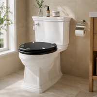 WC vintage en céramique à poser au sol, deux pièces, à siphon, cuvette ronde pour la maison, l'hôtel, la salle de bain
