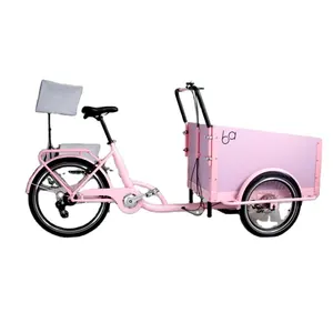 Bakfiets bicicleta de carga eléctrica para niños