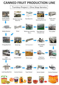 آلة تعليب الأناناس الأوتوماتيكية من ليدوورلد، ماكينة إنتاج الأناناس - Product Image 6