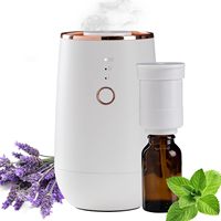 Diffuseur d'arômes sans eau, diffuseur d'huiles essentielles portable rechargeable par USB, diffuseur d'arômes d'huiles essentielles sans eau pour voiture