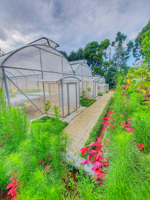 Serre Agricole Serre de Jardin à Châssis Métallique Horticulture Serre Tropicale Prix