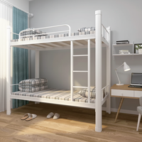 Lit superposé en acier pour écoles, lit superposé pas cher pour adultes, lit double en métal robuste, Camas métalliques
