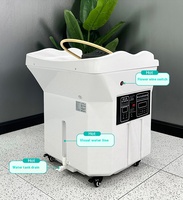 Équipement de Spa de Tête Portable pour Salon, Bassin Mobile de Lavage de Cheveux avec Lit de Massage Portable et Shampooing
