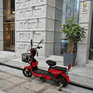 Bicicleta (E-Bike) con Batería de Plomo-Ácido de 48V, Motor sin Escobillas, Cuadro de Acero, Bicicleta Eléctrica Urbana para Adultos, 3 Velocidades, Pantalla LED Electrónica - Product Image 2