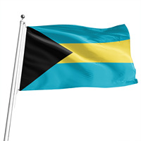 Nouveaux produits, drapeau du Togo en polyester, design personnalisé, double couture