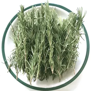 Factory Rosemary Dries Leaves Available As Spices Condiment Wholesale Price Rosemary