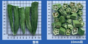 Approvisionnement en vrac <span class=keywords><strong>de</strong></span> <span class=keywords><strong>gombo</strong></span> lyophilisé, okra entière FD pour chips <span class=keywords><strong>de</strong></span> légumes saines - Product Image 2