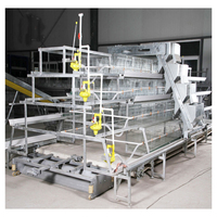 Système de cage de batterie de poulet de ponte d'oeufs de couche galvanisée automatique de type A de ferme avicole