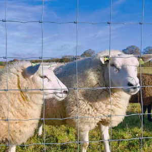 Recinzione da Giardino con Telaio in Metallo da 6 Piedi - Leggera, Alta Resistenza, Ecologica, Impermeabile, Design Moderno, Recinzione di Sicurezza per Uso Domestico - Product Image 6