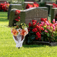 Porte-fleurs de cimetière avec ailes d'ange, vase commémoratif en résine blanche avec piquet de sol, décoration de tombe en souvenir