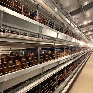 Ligne de production automatique d'aliments pour volailles de ferme avicole Ligne de production d'aliments pour volailles et ventilateur de ferme État neuf - Product Image 6