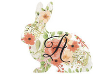 สีเขียวและสีแดง