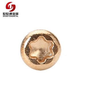 Offre Spéciale Chine Appareils Accessoires Standard <span class=keywords><strong>Rose</strong></span> Plaqué Or Petit Électroménager Vis - Product Image 3