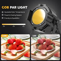 Projecteur PAR professionnel 80W Cob, projecteurs PAR blanc normal + blanc chaud, DMX512, barre de discothèque, scène, DJ, fête, projecteurs PAR en direct