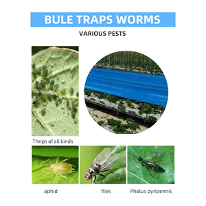 Nhà máy tùy chỉnh màu vàng dính côn trùng băng nhiều kích cỡ cho nông nghiệp bẫy côn trùng chất kết dính mạnh mẽ cho kiểm soát dịch hại - Product Image 3