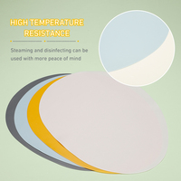 Tapis professionnel OEM en silicone pour animaux de compagnie, matériau imperméable de qualité alimentaire pour les déversements d'eau, base antidérapante, couleurs personnalisées et LOGO