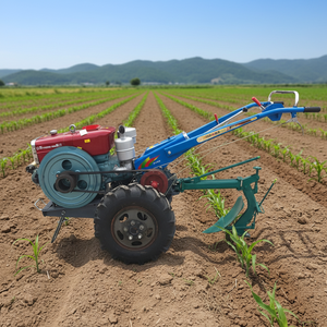 Motoculteur diesel agricole chinois 8hp, 12hp, 15hp, 18hp, mini-tracteur à deux roues <span class=keywords><strong>Zubr</strong></span> - Product Image 1