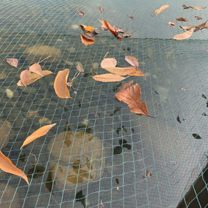 Couverture de bassin multi-usages durable pour empêcher les <span class=keywords><strong>feuilles</strong></span> de s'abattre, <span class=keywords><strong>filet</strong></span> anti-<span class=keywords><strong>feuilles</strong></span> pour bassin à poissons, pour villa, jardin, bassins d'eau - Product Image 1