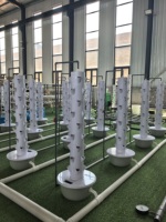 Tour hydroponique rotative commerciale à 30 sites, système vertical pour l'agriculture en serre