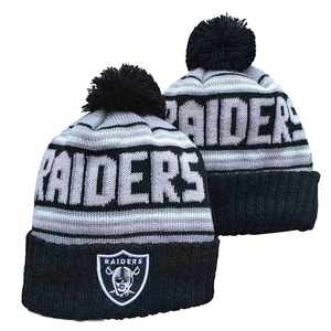 Gorros Deportivos Bordados de los 32 Equipos de Fútbol Americano al por Mayor, Gorros de Invierno de Punto Unisex de la Mejor Calidad - Product Image 1