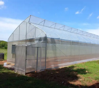 Serre agricole commerciale de grande taille GT Outdoor à simple travée avec film PE transparent et structure en acier galvanisé à chaud pour plantes
