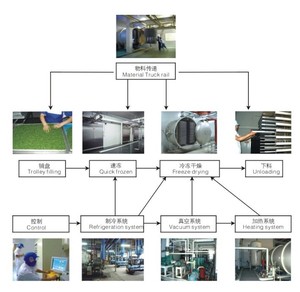 Liofilizador para Café Instantáneo en Gránulos y Polvo, Acero Inoxidable 304, Controlado por PLC, Capacidad de 5kg-500kg/h, Uso en Plantas de Fabricación - Product Image 4
