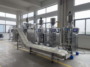 Machine d'emballage en acier inoxydable (Recommandation pour une optimisation plus personnalisée et une édition en masse, il convient de prendre en compte les O... pertinents) - Product Image 6