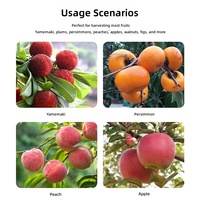 Verstelbare roestvrijstalen fruitplukker verlengstok voor appelplukken tuingereedschap groothandel China