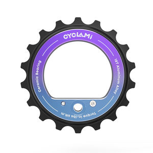 Polea Guía Excéntrica Universal CYCLAMI 18T con Rodamiento de Cerámica Completo para Desviador Trasero de Bicicleta MTB Modelo E35 Guangdong - Product Image 1