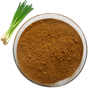 Poudre d'extrait de graine de poireau de ciboulette chinoise naturelle Matières premières extrait de graine de poireau biologique