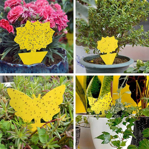 Trampas Adhesivas Amarillas Personalizadas OEM para Moscas e Insectos, Trampa para Moscas de la Fruta y Mosquitos, No Tóxica, Protección de Plantas, Tabla Adhesiva - Product Image 5