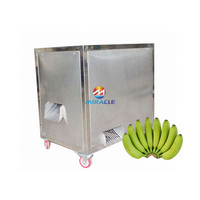 Gemotoriseerde fruitenschilmachine, automatische bananen- en plantainschilmachine voor kleine bedrijven